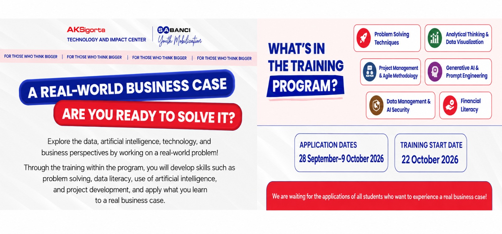 The Young Professionals Development Program